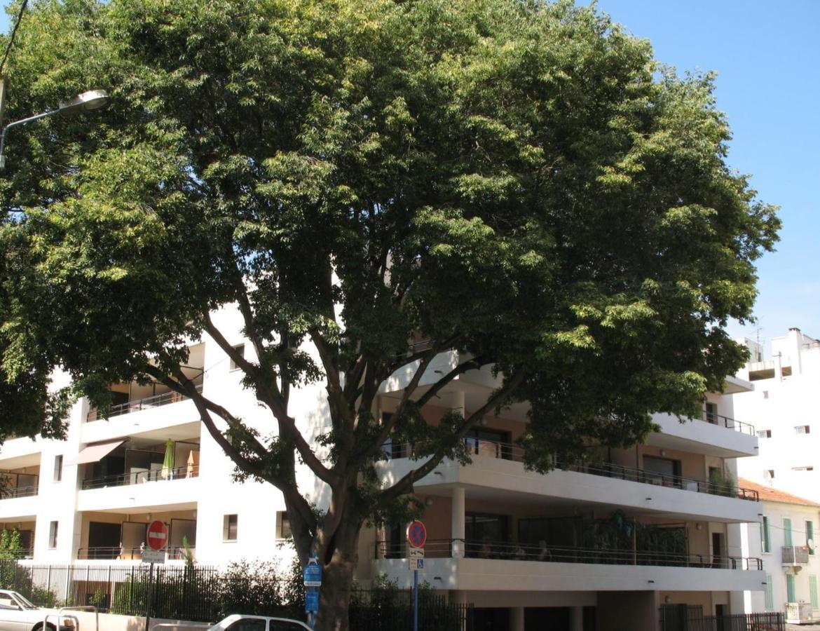 Spacious Luxury Apt, 12 Min Walk To Croisette Beach And Conf Centre 戛纳 外观 照片