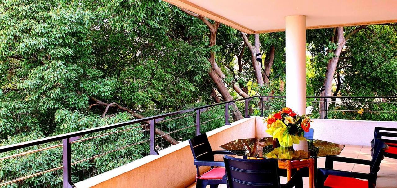 Spacious Luxury Apt, 12 Min Walk To Croisette Beach And Conf Centre 戛纳 外观 照片