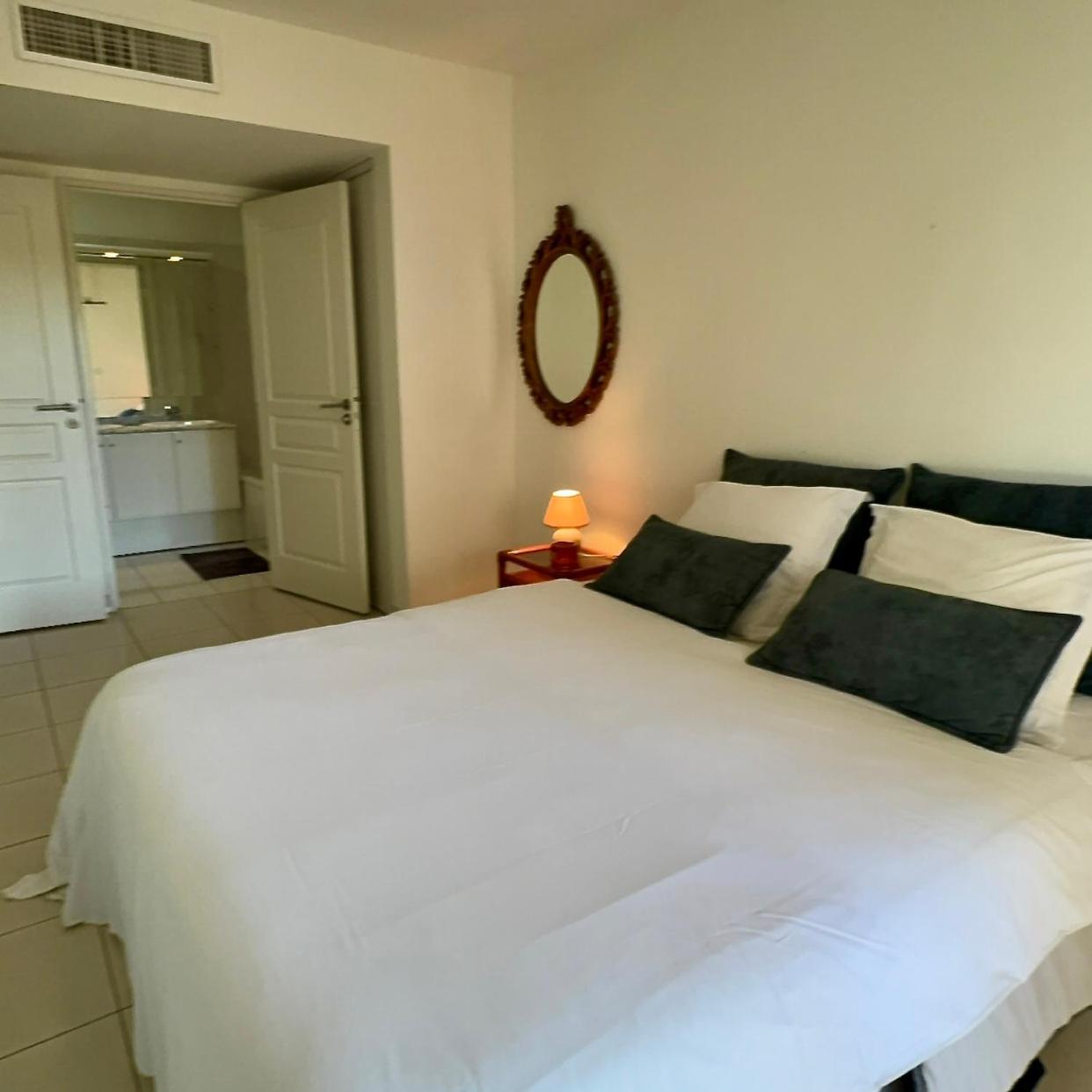 Spacious Luxury Apt, 12 Min Walk To Croisette Beach And Conf Centre 戛纳 外观 照片